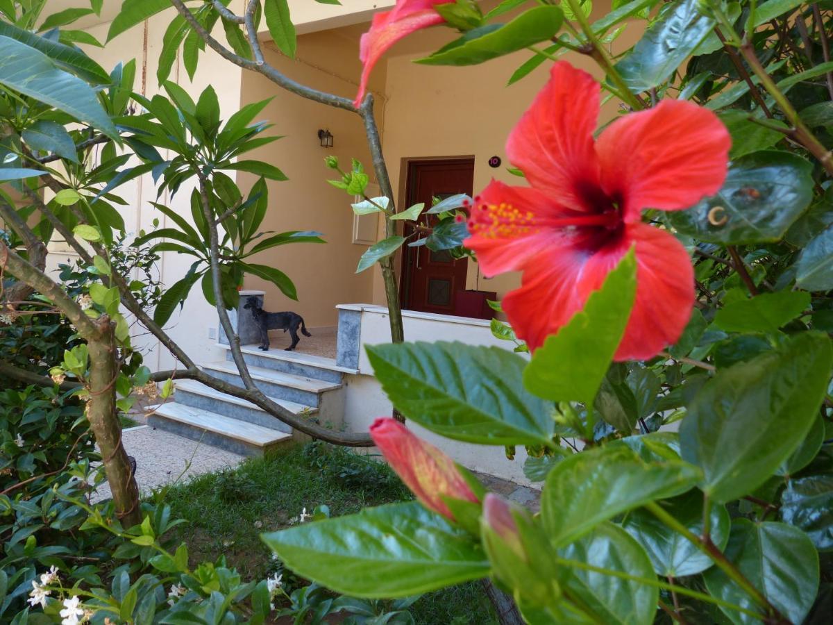 Avgi Garden House Chania With Private Entrance Eksteriør billede
