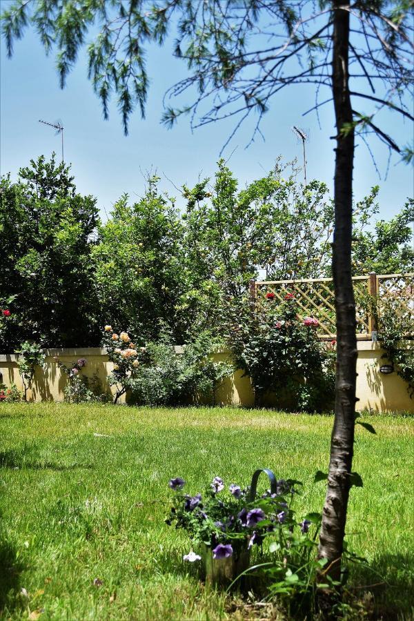 Avgi Garden House Chania With Private Entrance Eksteriør billede